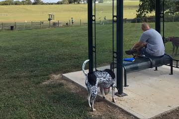 K-9 Korral Dog Park